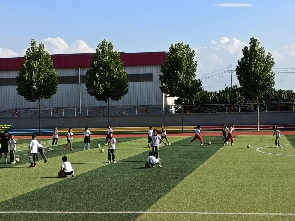 中国足球雄起,归化球员对中国足球的未来的影响