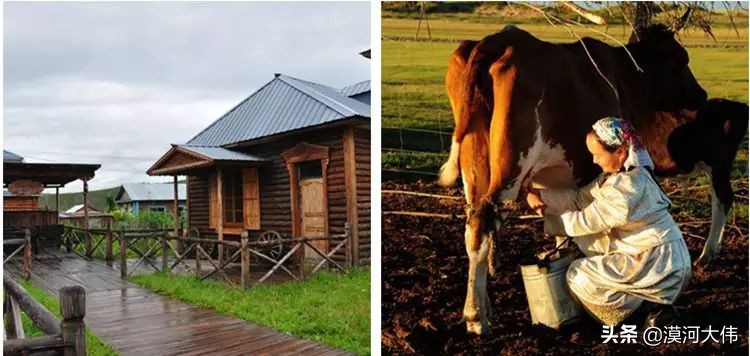 森林草原自驾游,森林亲子旅游攻略图片大全