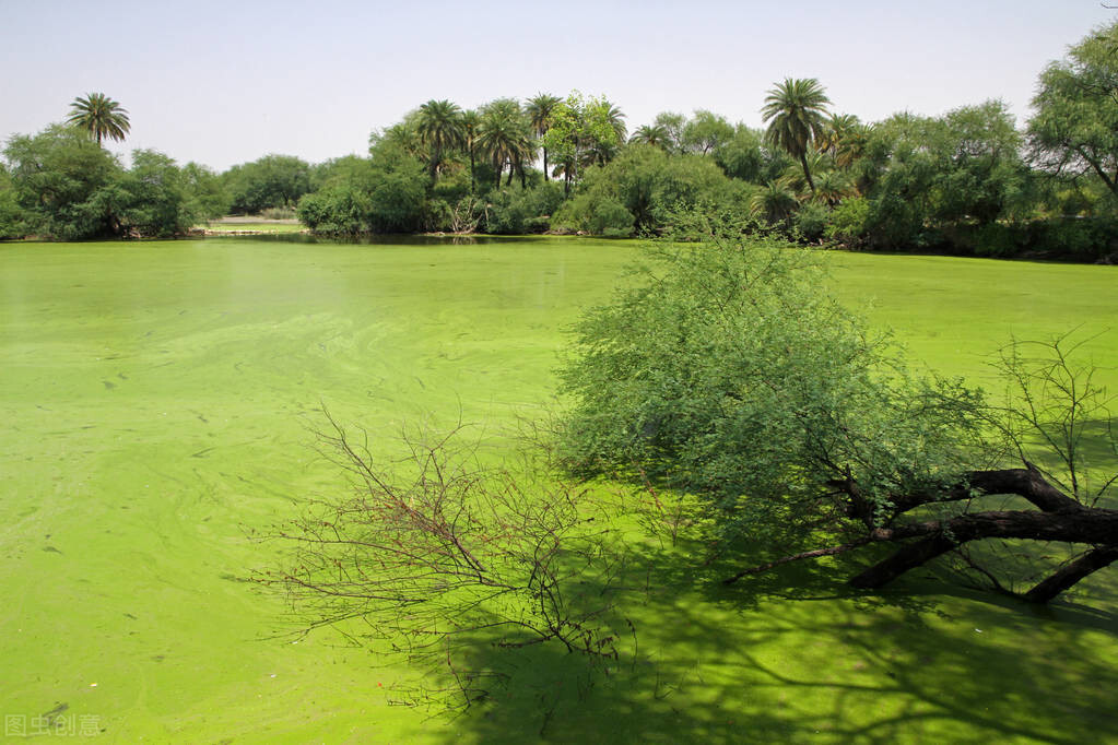 迪奥背后有哪些不为人知的故事？