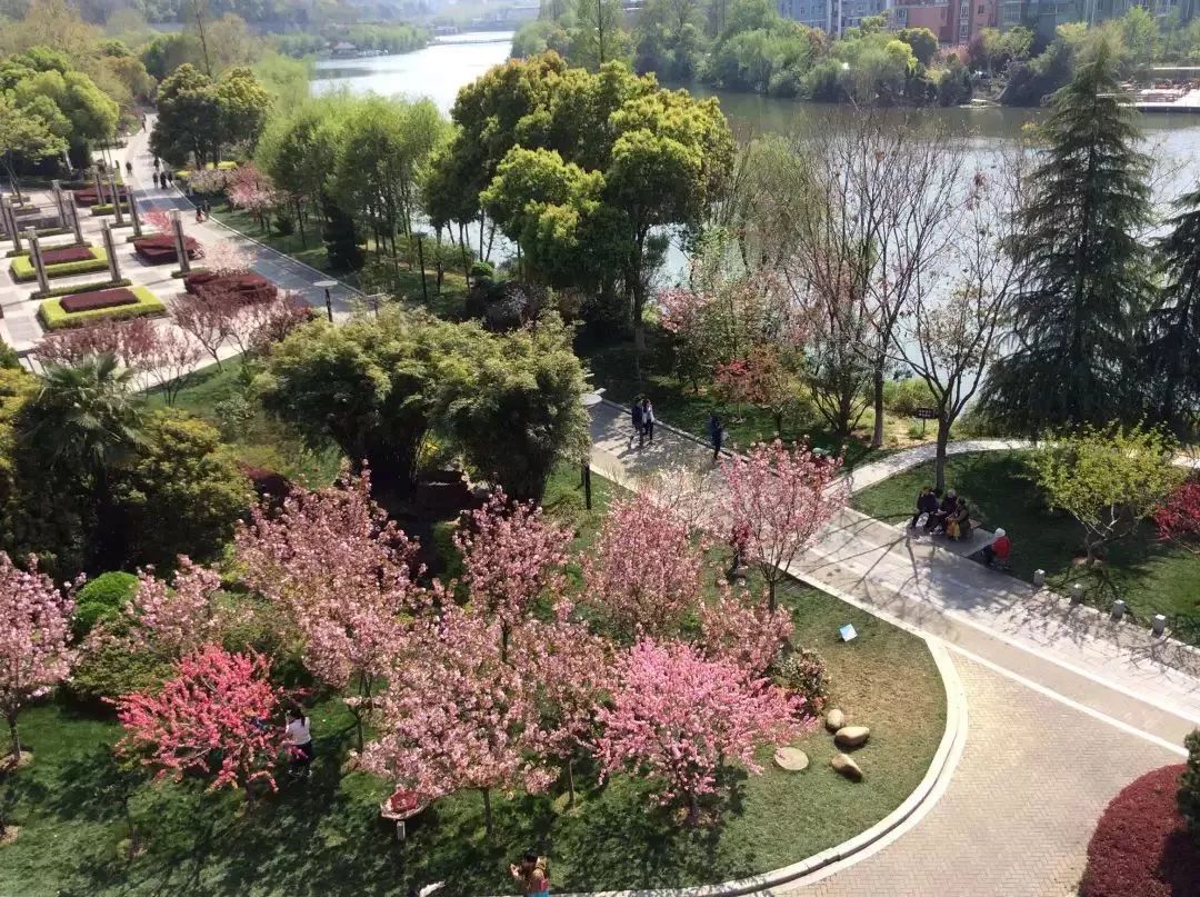 南京有哪些免费公园,南京象山湖公园免费攻略