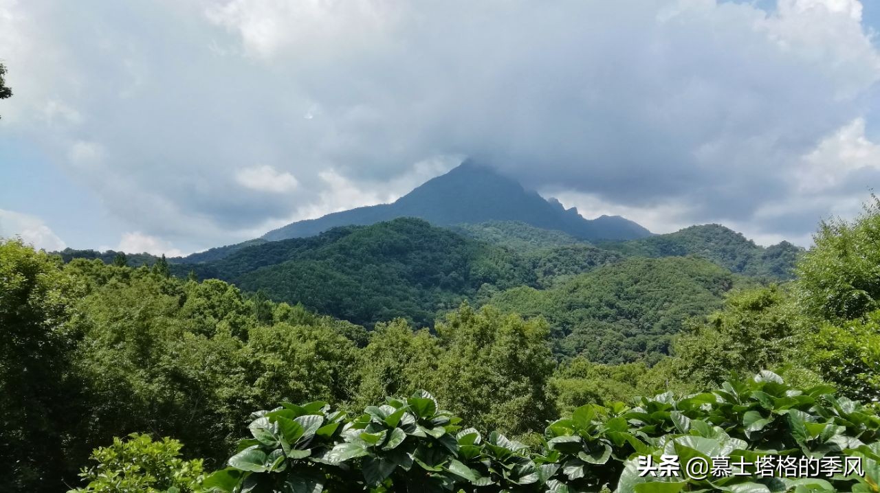 海南养老性价比最高的两座城,海南养老公寓最好的包吃包住价格