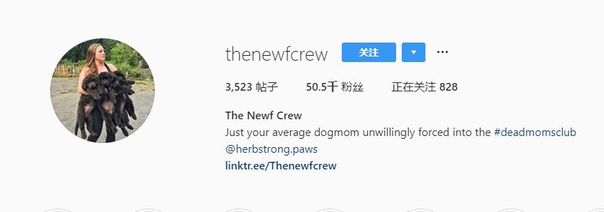 国外狗妈妈，养了9只暖心纽芬兰犬，这样的生活太“疯狂”