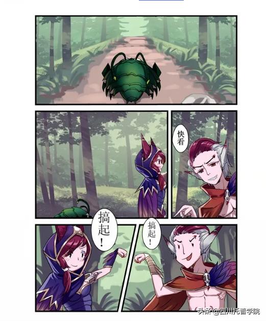 四川省托普信息职业技术学院单招,四川省托普学院单招考试大纲