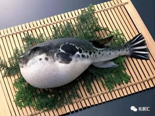 世界高端海鲜品牌,世界顶级海鲜在哪里