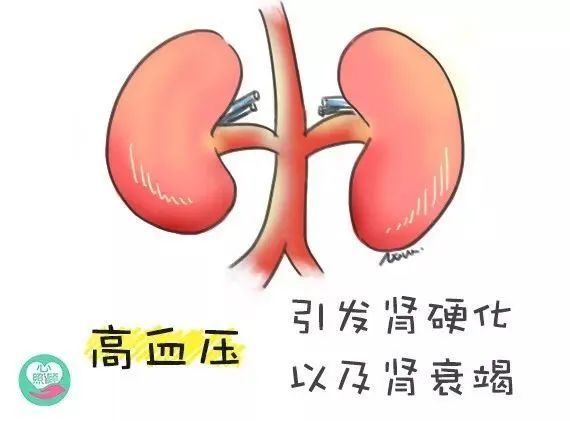 老年肾脏病如何进行防治措施 ？爱护肾脏，爱护你和身边人