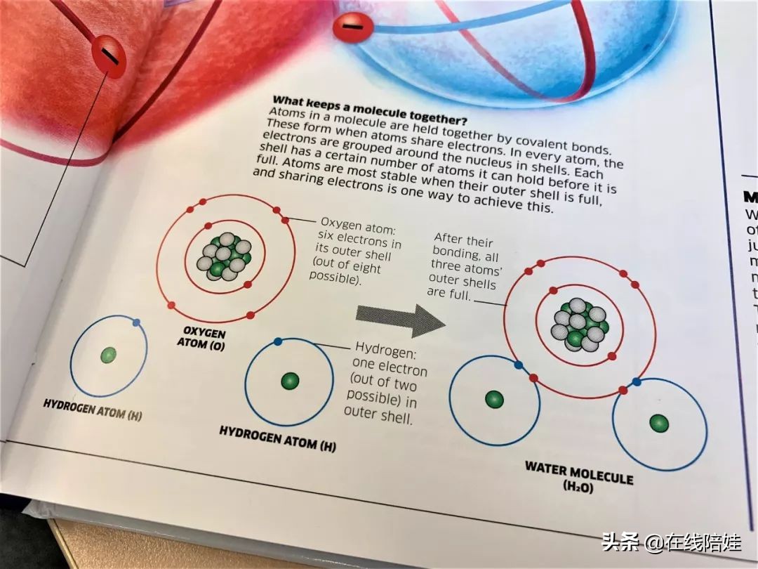 dk知识大百科全套,dk知识大百科书金银版