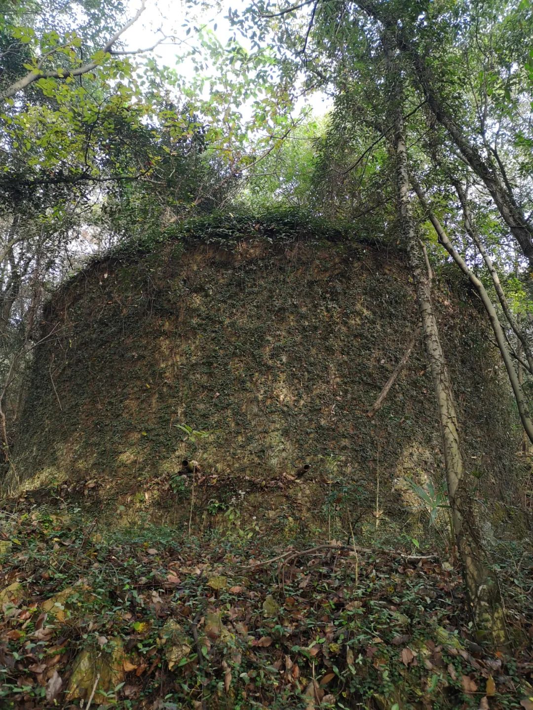 上虞春晖中学与上虞中学比较,浙江上虞春晖中学陈柯帆