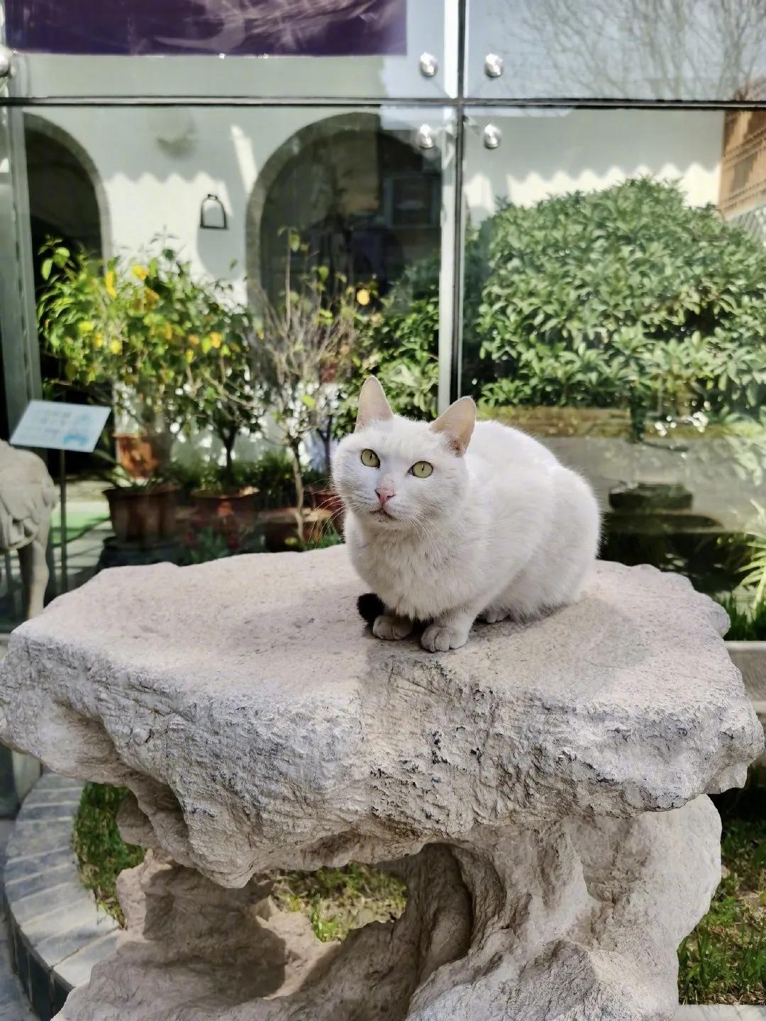 大家期盼的真实事件,掉缸事件怎么处理