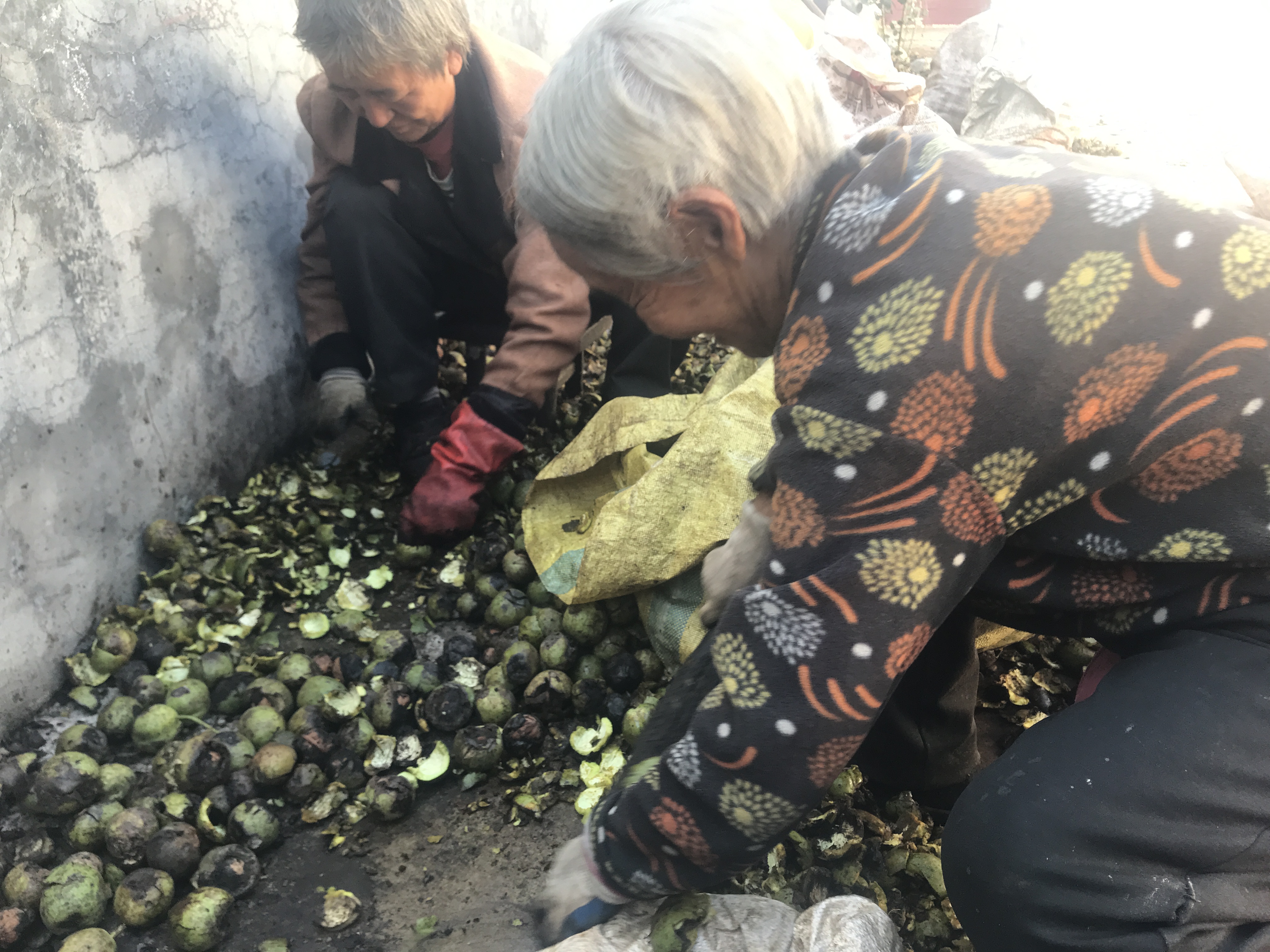 孩子爱吃甜食一嘴小黑牙，此招一出，父母小孩都快乐
