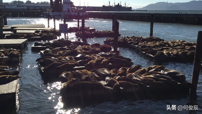 澳门渔人码头周边网红打卡地,旧金山渔人码头唐人街华人老照片