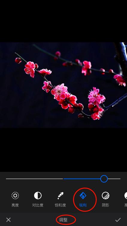 在家怎么拍出好看的照片修图,照片修图调画教程