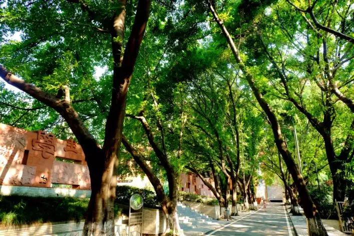 这所大学堪称低调王者,一所经历了百年风雨的名校