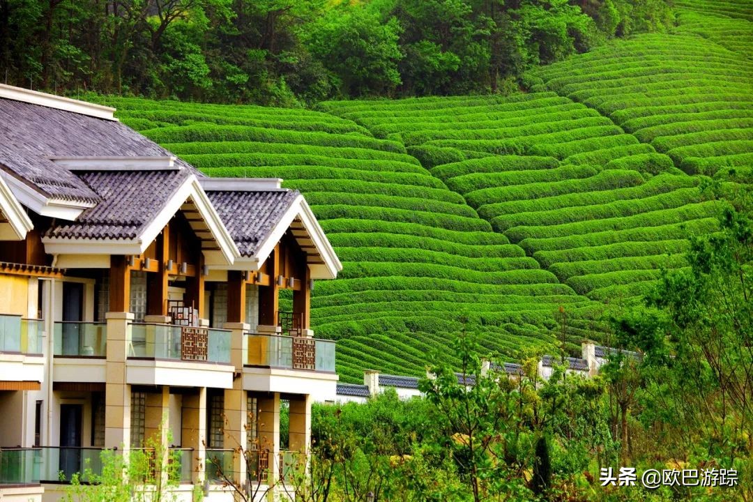 余姚阳明温泉山庄周边景区,浙江余姚西山景区