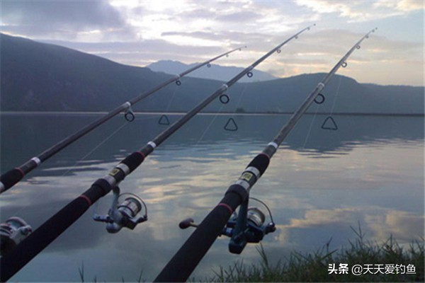 海竿钓草鱼爆炸钩和翻板钩,海竿爆炸钩用什么饵钓鲤鱼草鱼