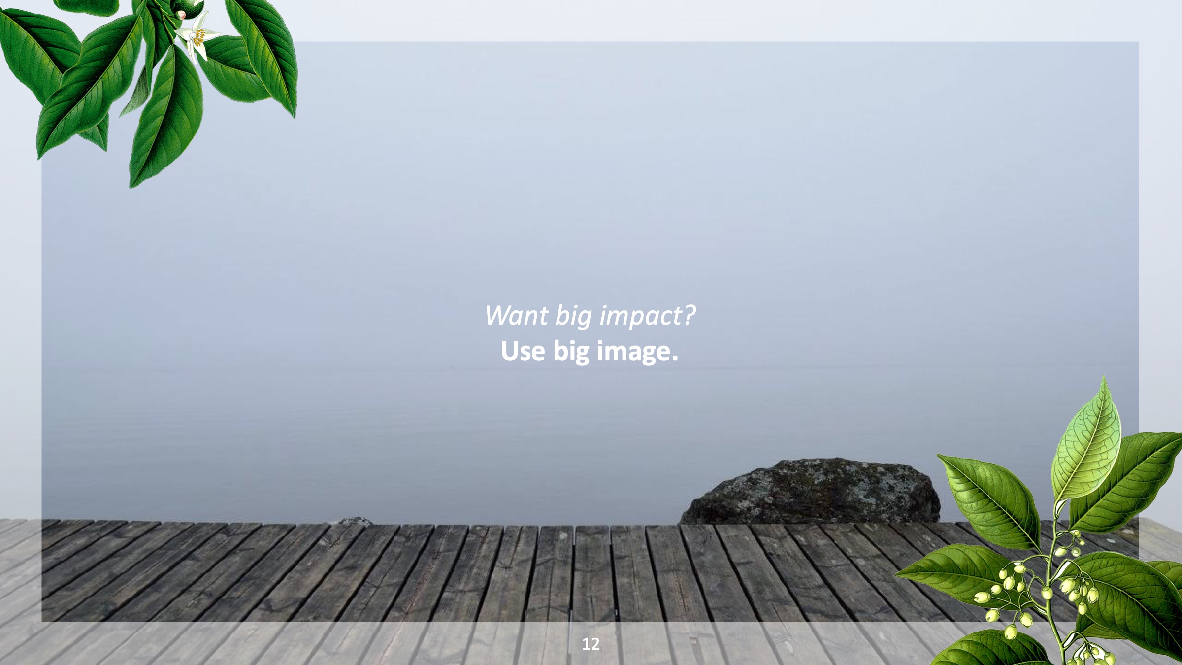 PPT植物插图模板——可免费*载下**，一键替换文字