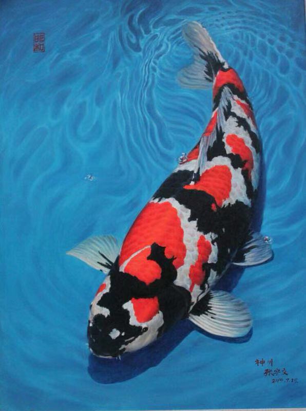 鱼缸养锦鲤鱼技术大全,缸养小锦鲤鱼的基本方法