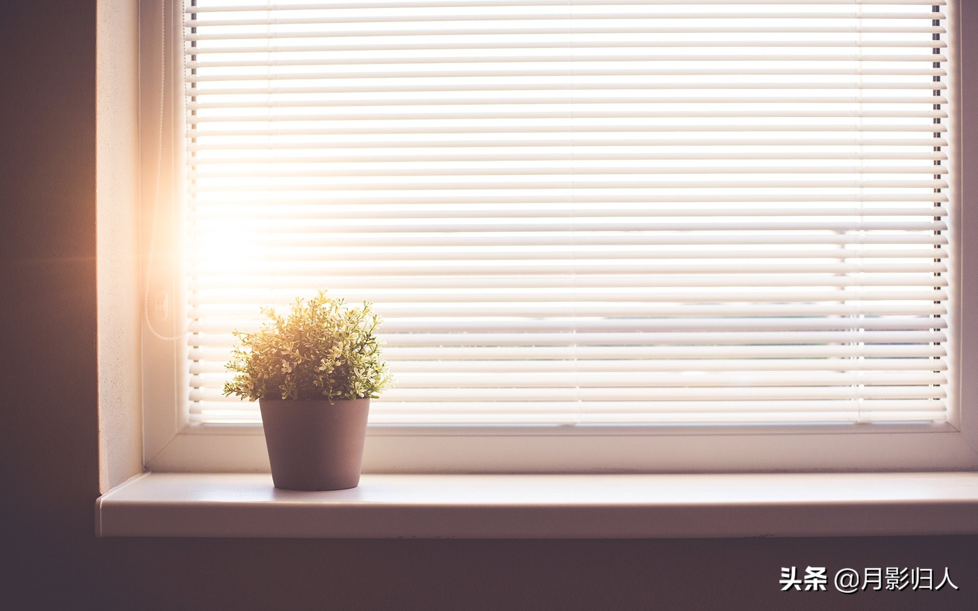 人世喧嚣纷纷扰扰,倾听人世繁华喧嚣