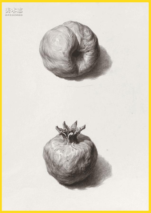 素描常见水果,适合新手的100幅素描画蔬菜水果
