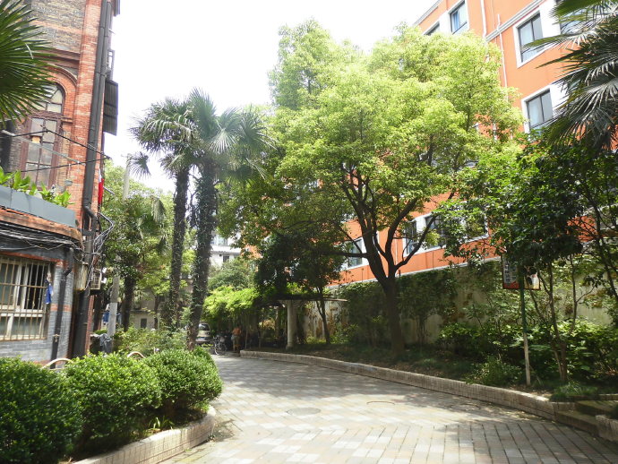 电视连续剧三十而已钟晓芹,电视剧三十而已钟晓芹照片