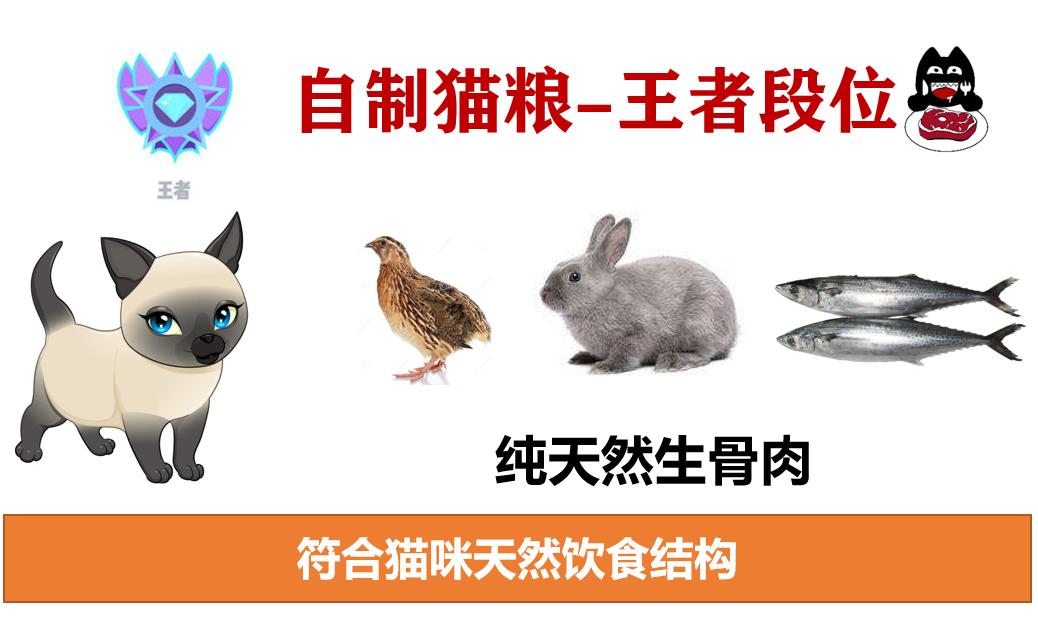 自制猫粮为什么不推荐煮而是蒸,自制猫粮有什么要求吗