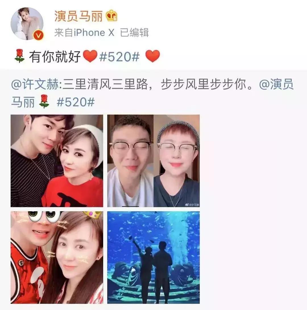 马丽演的喜剧,马丽喜剧之外