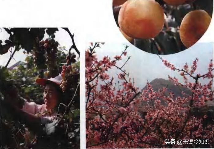 当年的无锡老照片,老照片那些关于江苏无锡的记忆