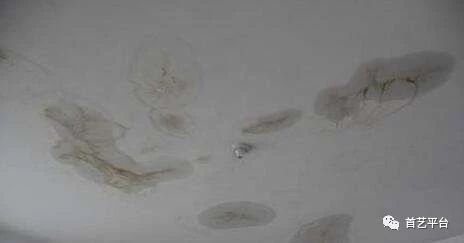 看完这篇，不再为屋顶漏雨而烦恼