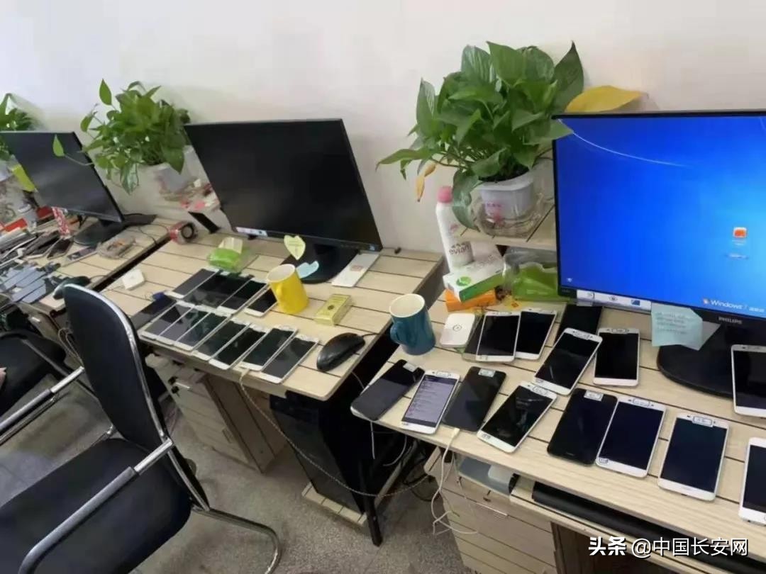 公安破获投资理财电信诈骗案,石家庄破获电信诈骗案