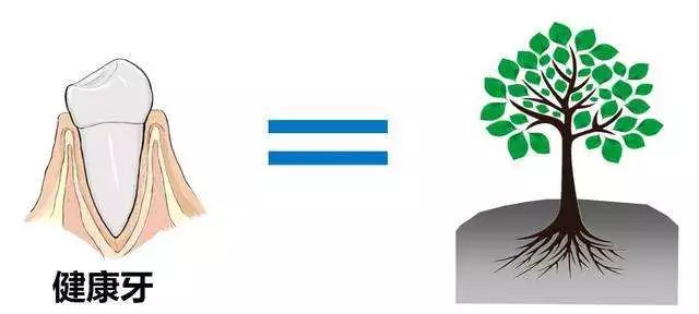 牙齿生病的各种症状,牙齿有什么严重的病