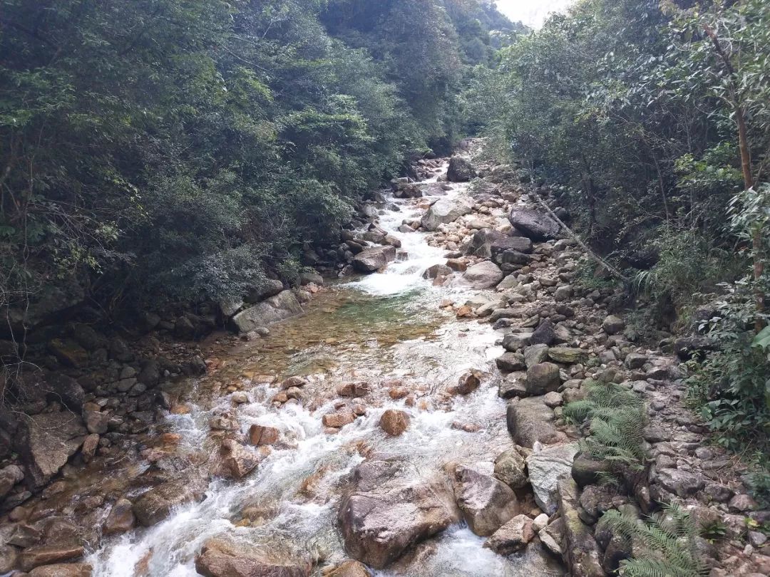 贺州姑婆南国仙山景区,贺州姑婆山景区旅游攻略