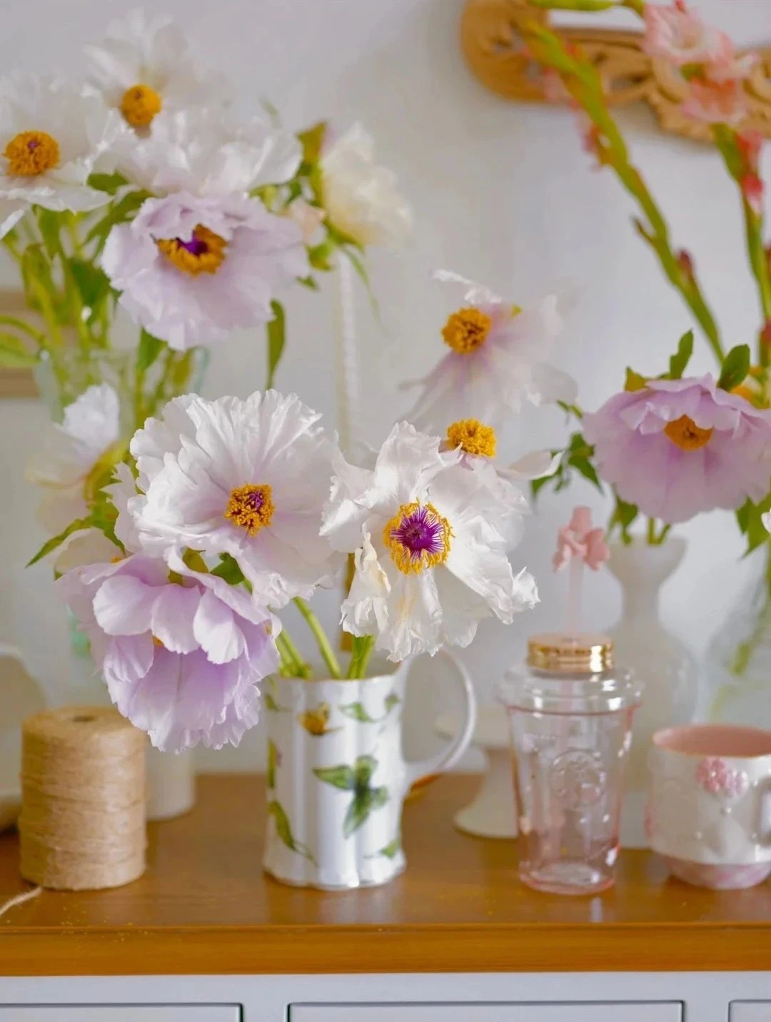 植库‖跟随仙气飘飘的油牡丹，追寻春天的步伐