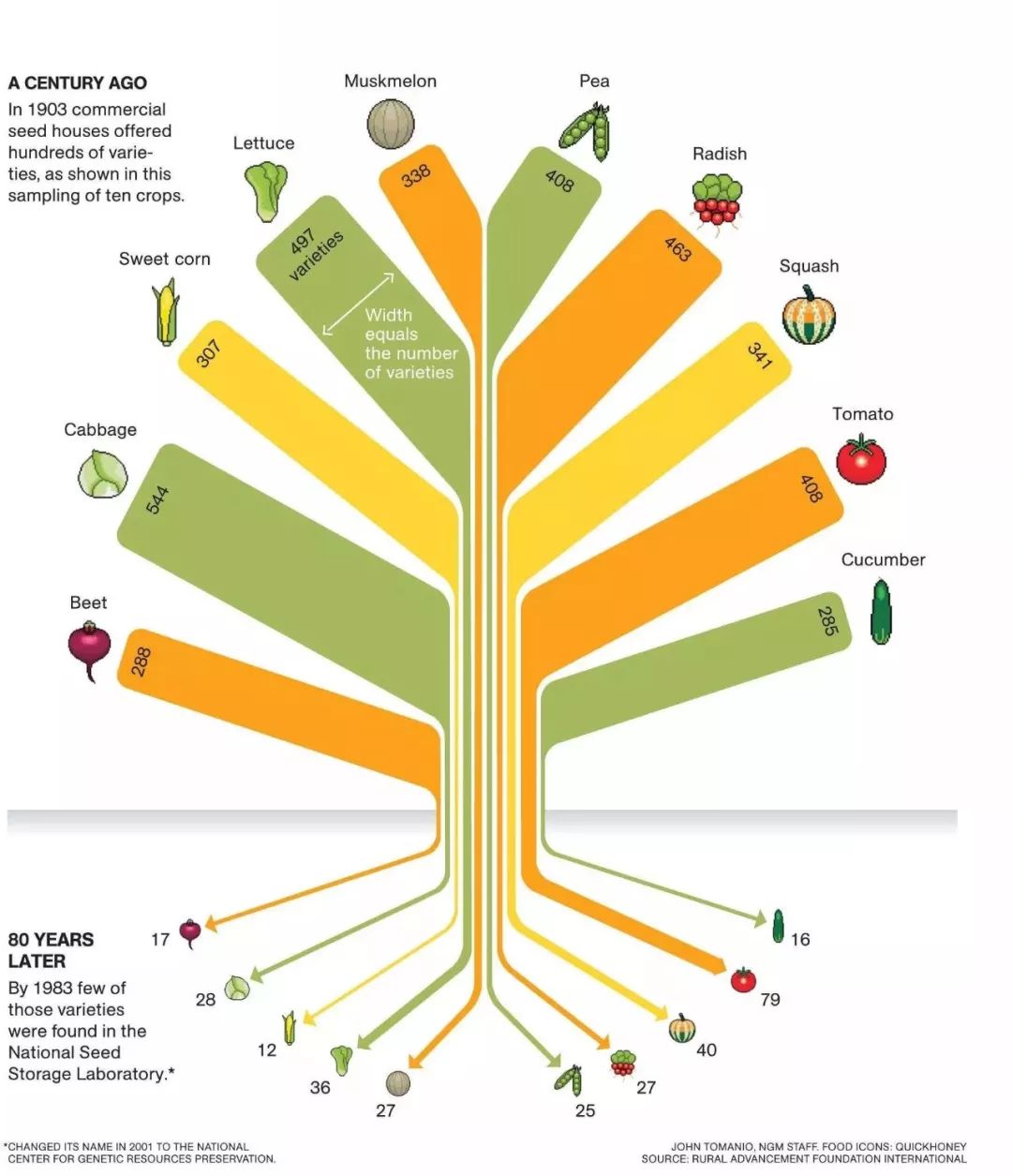 现代农业仅用了80年，世界上93%的蔬果种子被灭绝，谁之过？