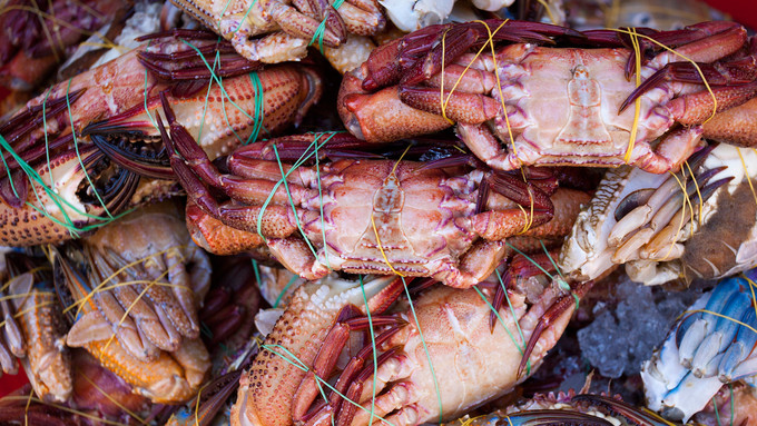 越南自由行省钱攻略,越南自由行旅游攻略必备清单