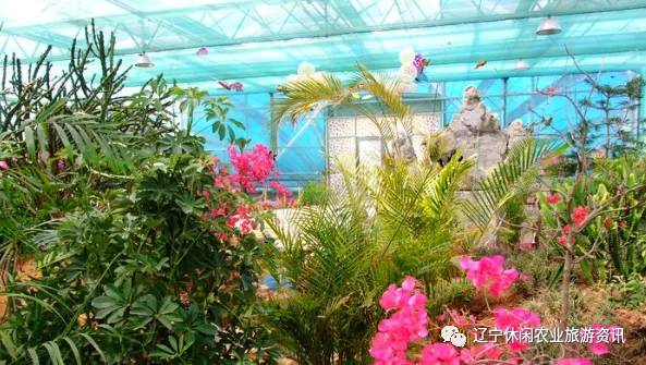 旅顺杏花村风景,旅顺杏花微雨醉春风