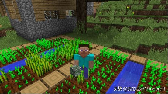 如果我的世界方块用不了怎么办,我的世界如何让地面铺上拒绝方块