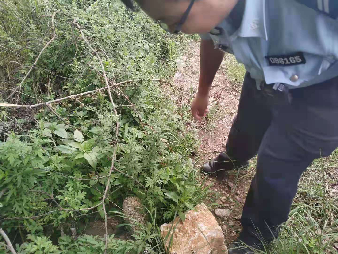 cop15大会开幕回看,cop15开幕第一天