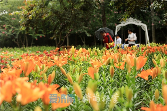 济南夏日风景美如画,济南美如画的地方