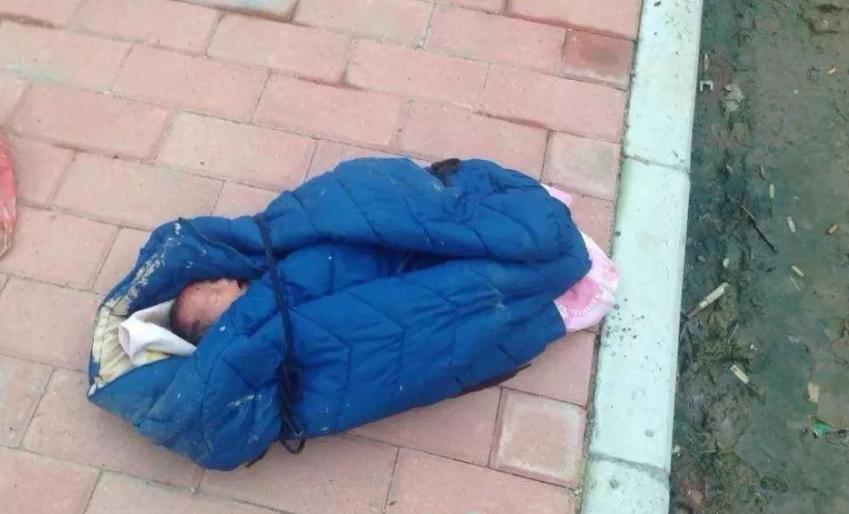 被亲生父母遗弃女博士,女博士被收养24年节目