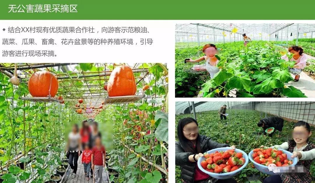 田园综合体类项目策划,田园综合体项目推介书ppt