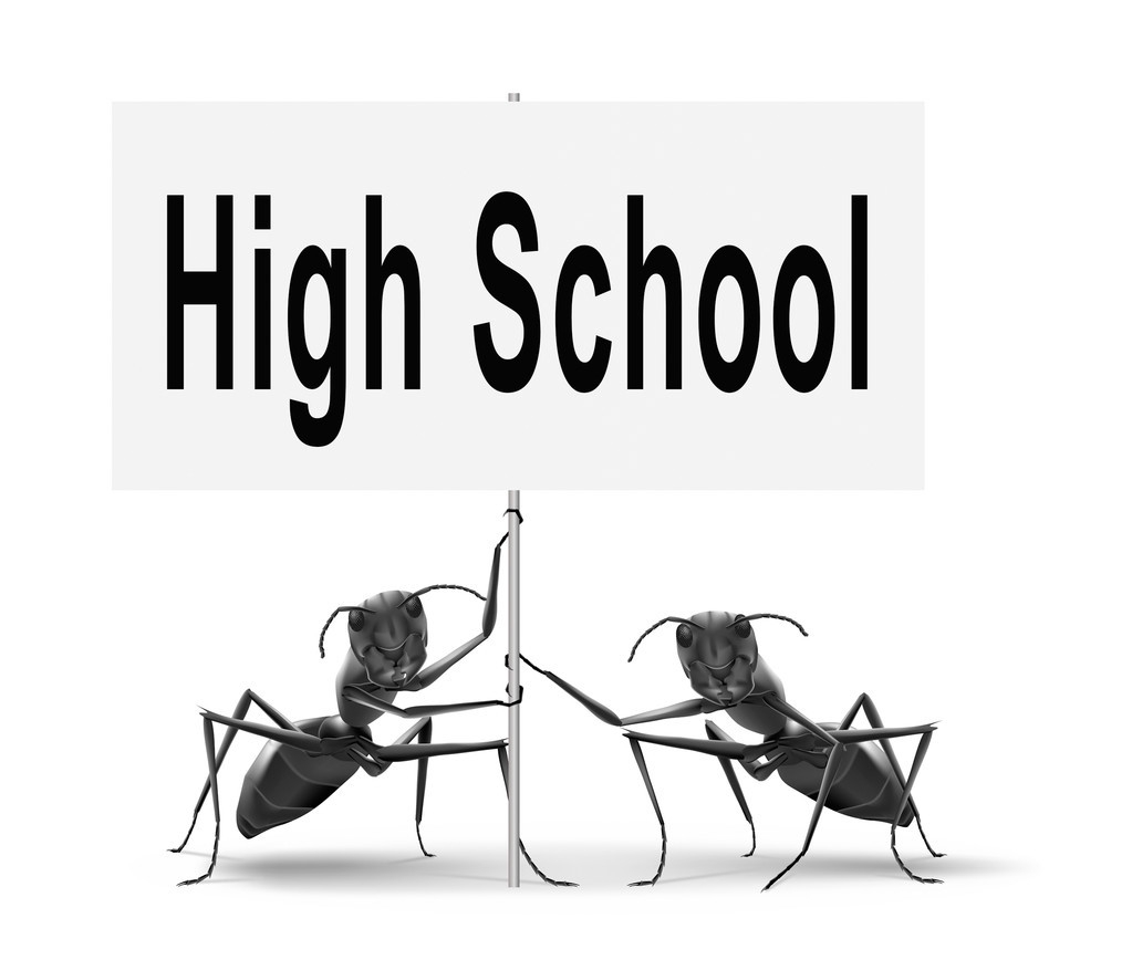 全日制定向研究生和非全日制区别,非全日制研究生都是定向的吗