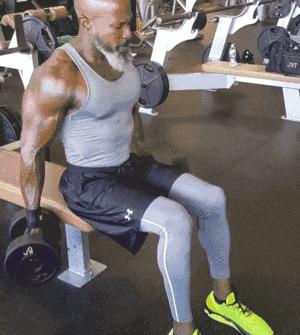 家里只有哑铃怎么练背,家里只有哑铃怎么锻炼