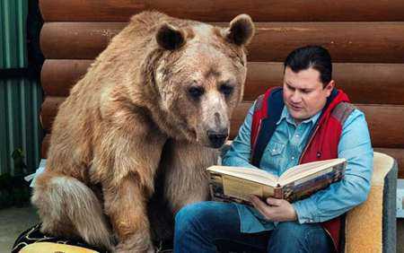 熊是属于什么类的,熊是怎样的动物