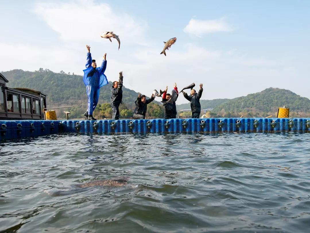 大过中国年高清原图,大过中国年