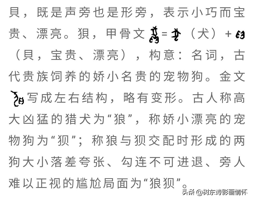 狈字的演变,狈字的演变过程