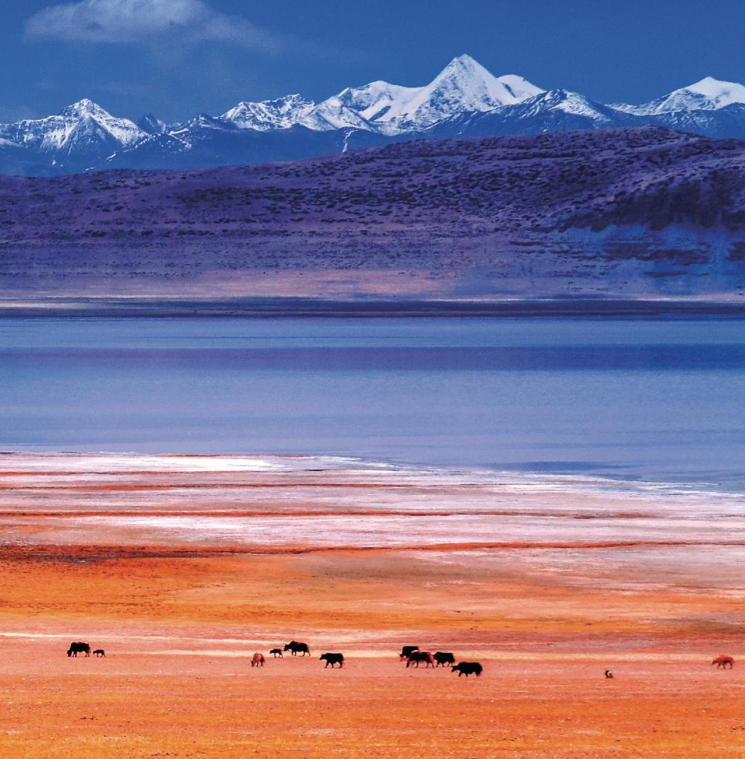 日喀则珠峰二日游,西藏日喀则旅游看珠峰