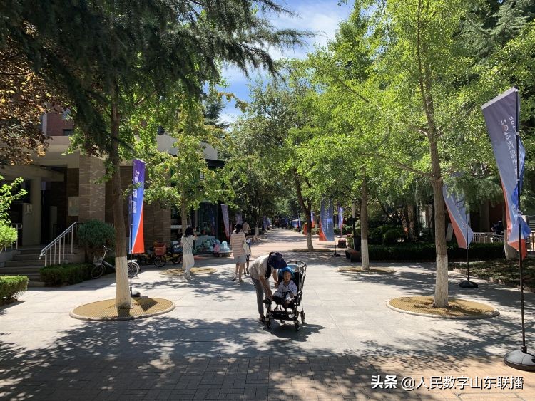 青岛韩国经贸交流会,青岛中韩博览会