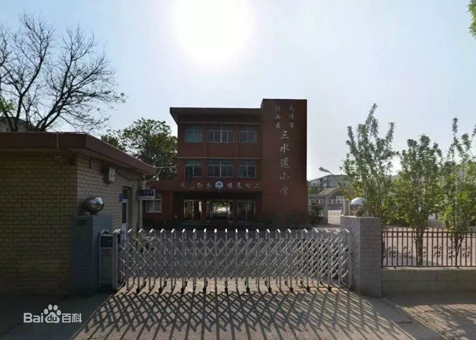 河西一片区小学推荐,河西三片最好小学