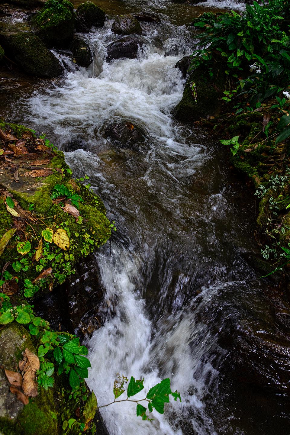 溪水潺潺心旷神怡,美景溪水潺潺