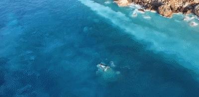 央视报道厦门体育中心,央视聚焦厦门海沧隧道