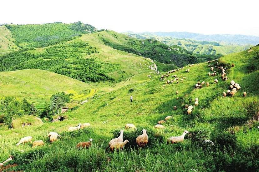 山西一县，一座山五岳名山，一个寺悬在半空，被评为最美县域